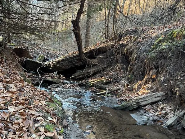 462 Mountain Rd, Saltville, VA 24370