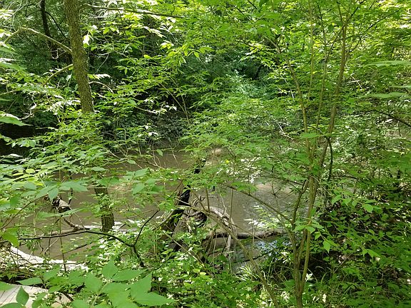 2nd image of 363 County Road 2700 N