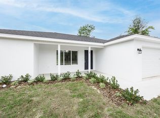 18 Malauka Loop Pass, Ocklawaha, FL 32179