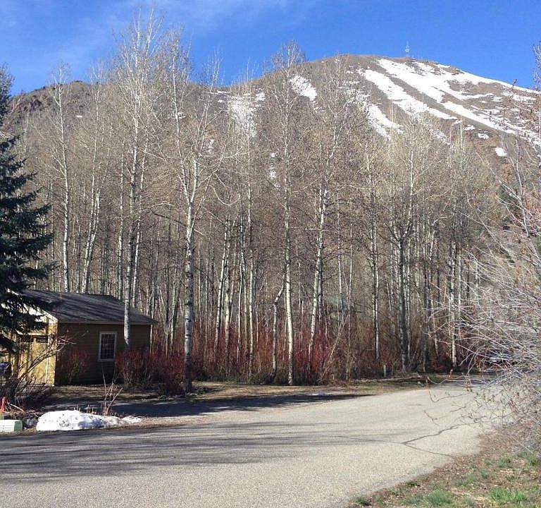 2nd image of 1340 Snowfly Dr
