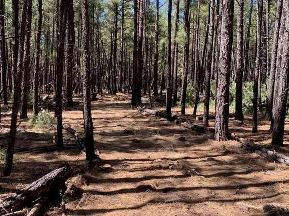 TBD Dynamite Road #-, Lakeside, AZ 85929