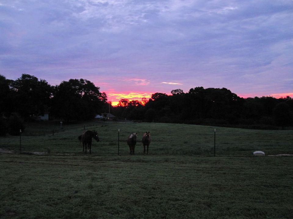 Beautiful Sunrise