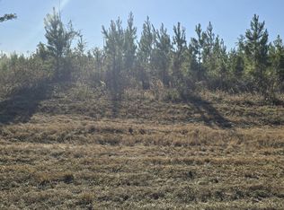 LOT 2 Peanut Rd, Cottondale, FL 32431
