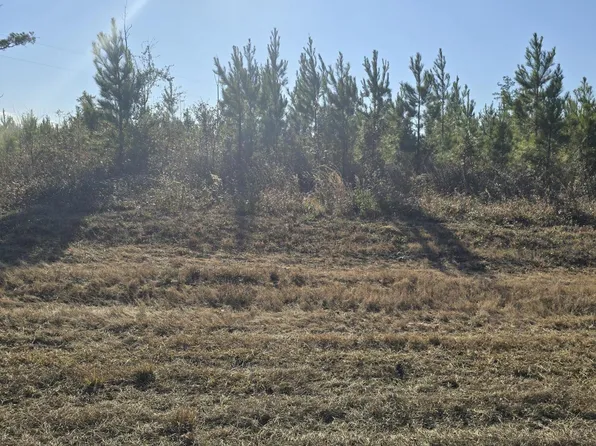 LOT 2 Peanut Rd, Cottondale, FL 32431