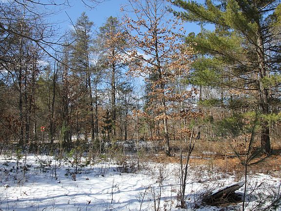 4th image of 3 Lots Pine Tree Dr