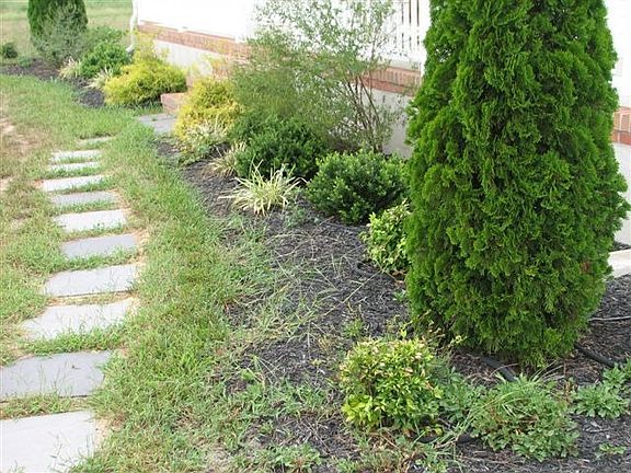 Front Walkway and Garden