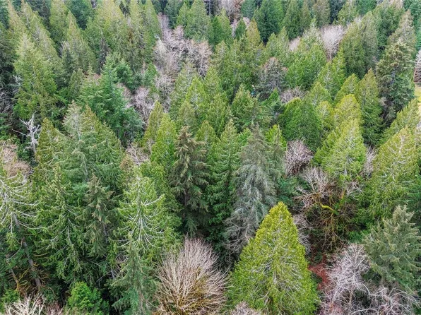 2902 136th Street NW, Gig Harbor, WA 98332