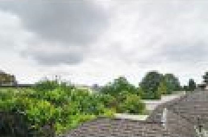 View from deck