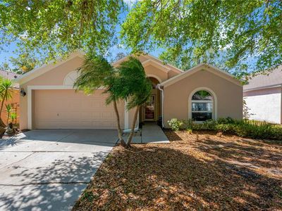 7607 Wiltshire Park Pl, Apollo Beach, FL, 33572