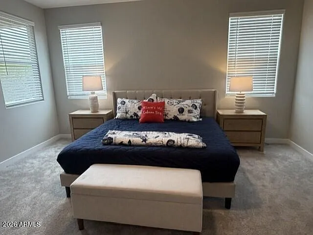 3180 E Ranchhand Dr — Photo 27