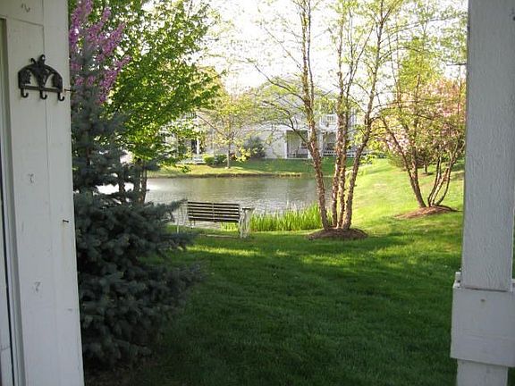 Patio View of Pond