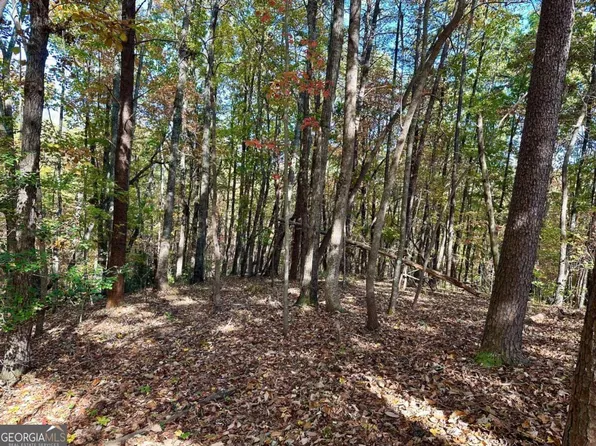 133 Hope Dr, Dawsonville, GA 30534