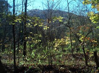 Par 30.04 Old Mountain Rd, Thorn Hill, TN 37881