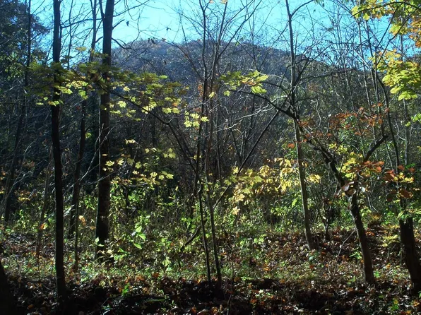 Par 30.04 Old Mountain Rd, Thorn Hill, TN 37881