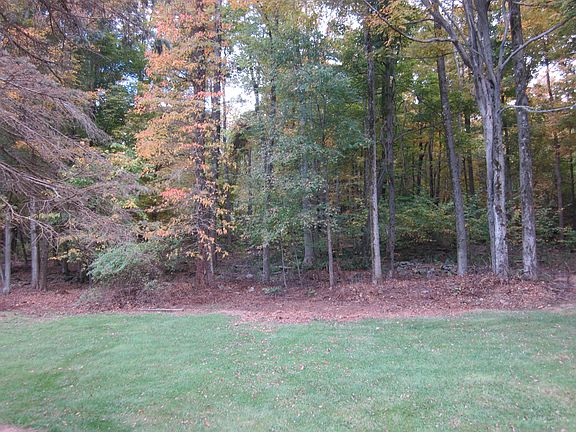 Rear yard