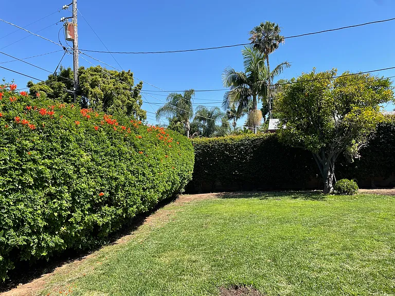Aragon Dr — Photo 38