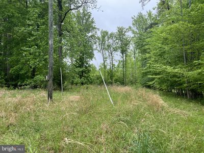 Elliott Ln, Stafford, VA, 22554