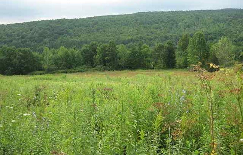 5th image of 0 HUGHES Road
