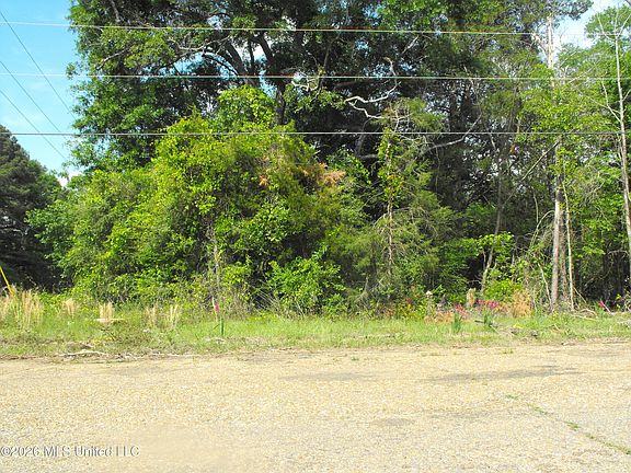 4th image of Terry Rd