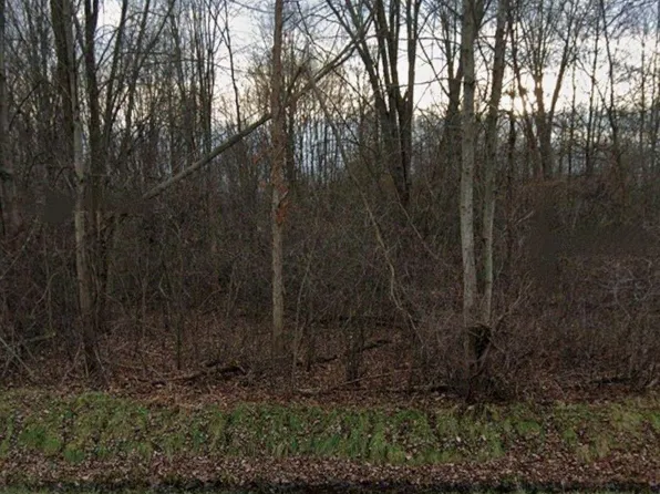 0 Swartout Rd, Algonac, MI 48001