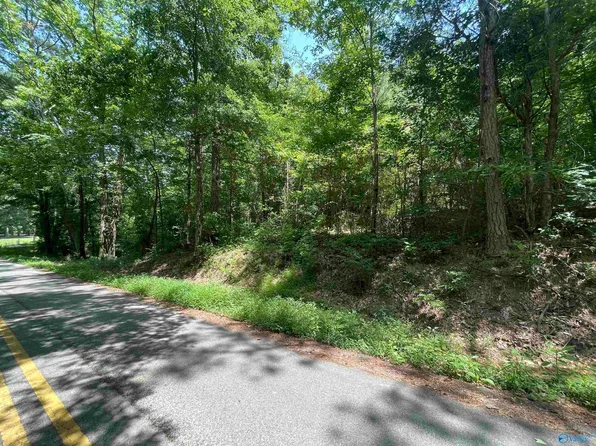 County Road 144, Gaylesville, AL 35973