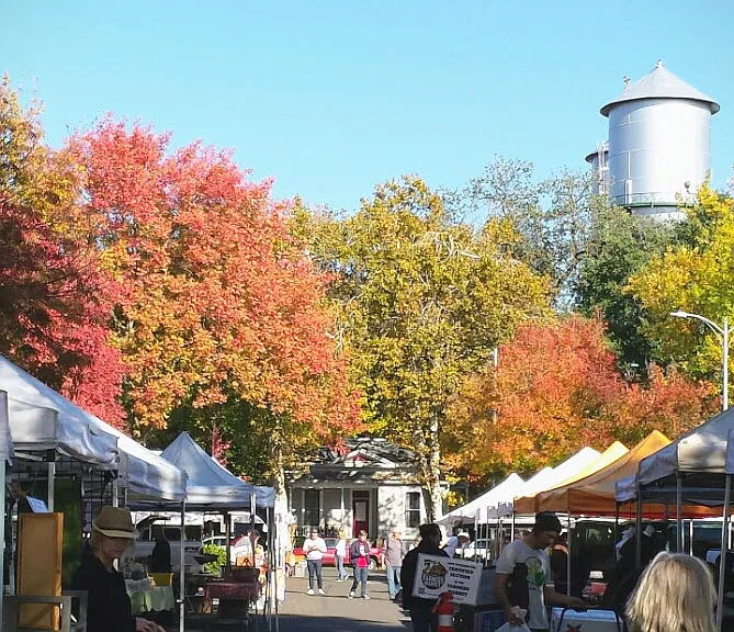 Saturday Farmers Market is just across the street!