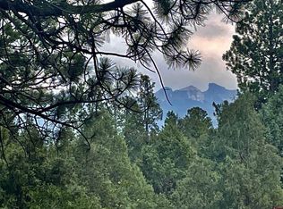 88 Hummingbird Trl, Ridgway, CO 81432