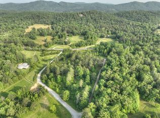 0 Spur #60, Mineral Bluff, GA 30559