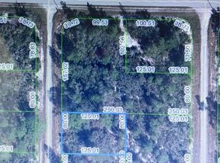 1255 Lorca St, Lake Placid, FL 33852