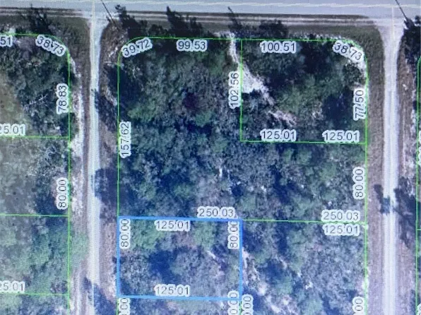 1255 Lorca St, Lake Placid, FL 33852