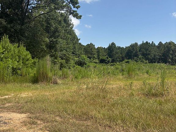 3rd image of 0 L Rogers Rd