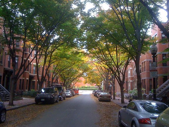Wellington Street in the Fall