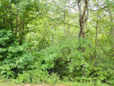 0 Country Glen Ln, Pelzer, SC, 29669