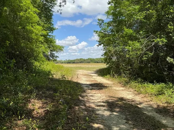 0 Highway 253, Donalsonville, GA 39845