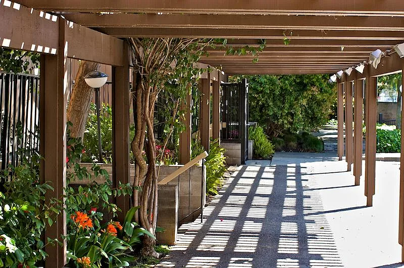 Lake Terrace — Photo 4