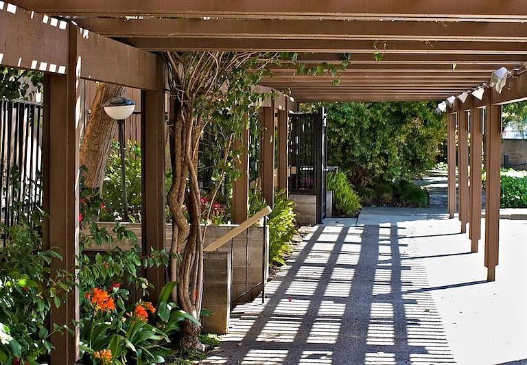 Lake Terrace — Photo 4