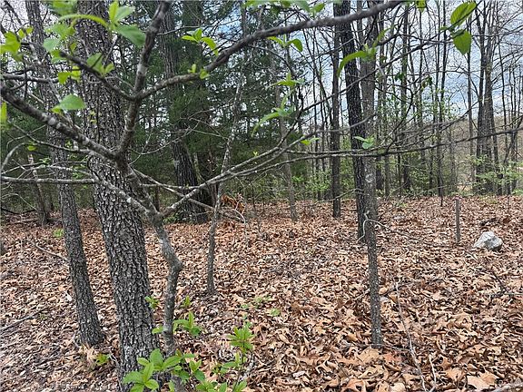 5th image of LOT 10 Entry Rd