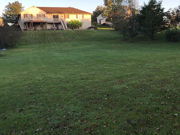 Large Backyard 