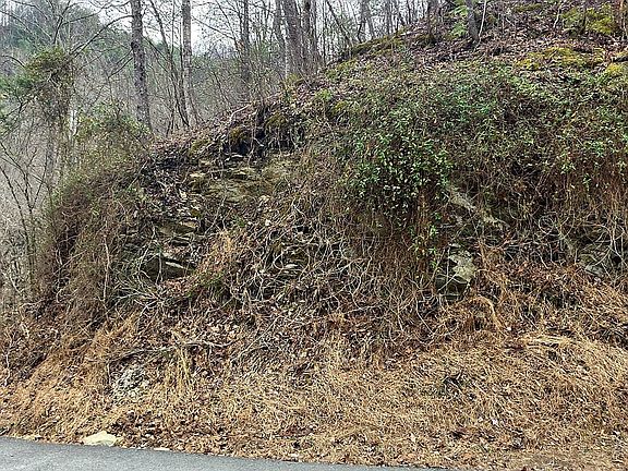 3rd image of LOT 6 Wildcat Ridge Rd