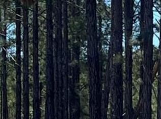 1 Bradwell Dunham Rd NE, Ludowici, GA 31316