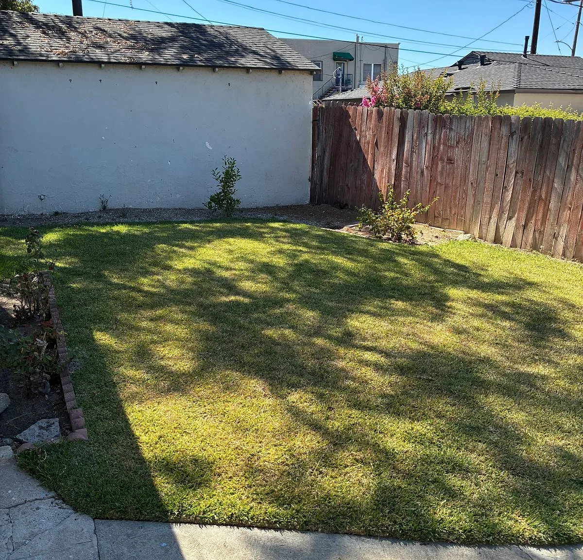 3 bed, 900 sqft, $3,650 — Photo 1