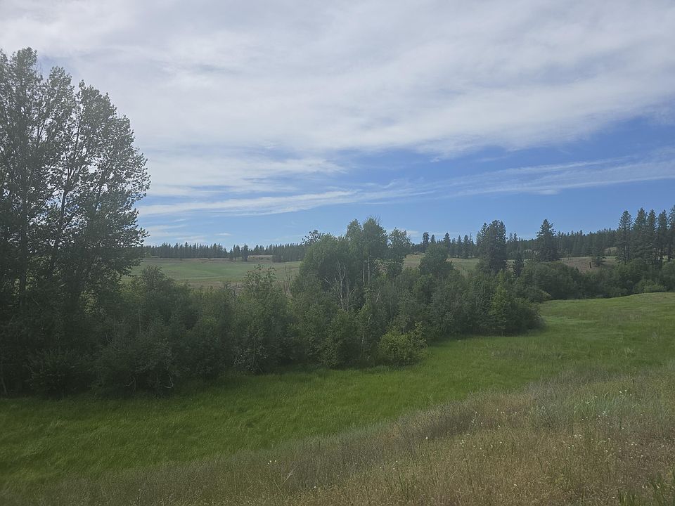 2nd image of Bear Rd