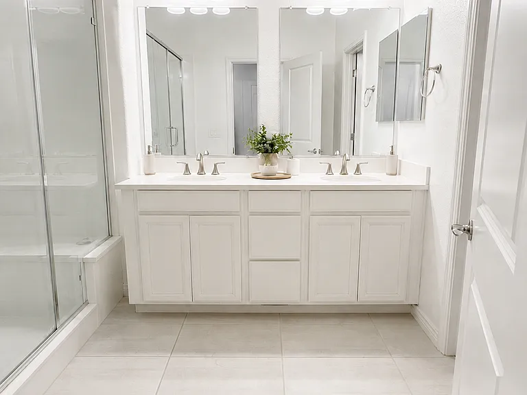 Master Bathroom Vanity