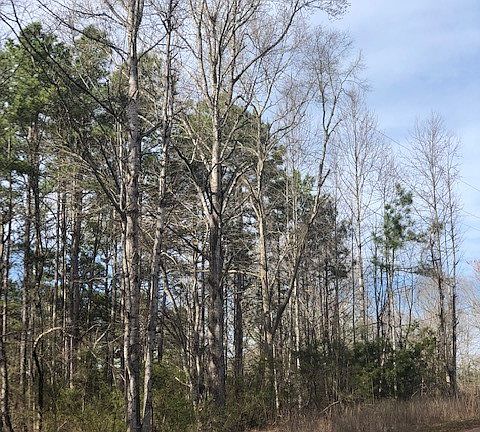 3rd image of 0 Furman L Smith Memorial Hwy