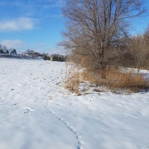 LOT 3 Possum Way, Lake City, MN, 55041