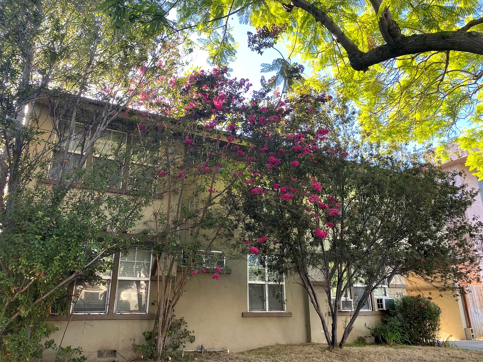 Studio, 650 sqft, $1,995 — Photo 2
