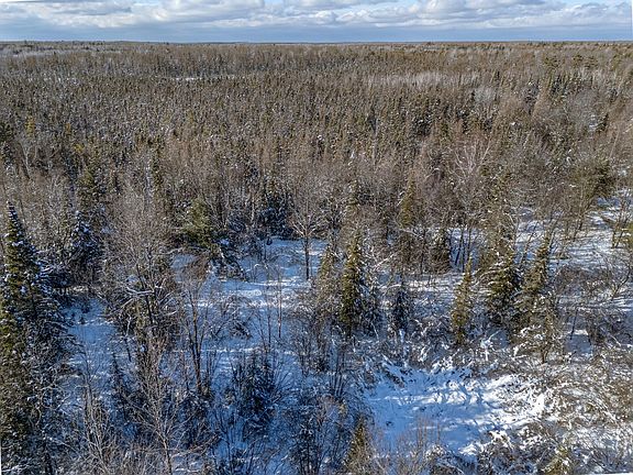 4th image of N3547 Cth D