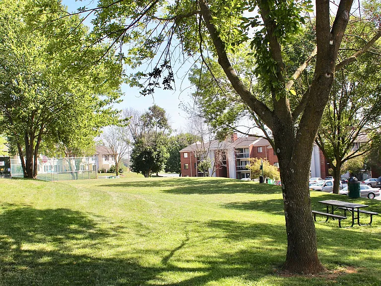 1030-3 Blue Ridge Dr — Photo 33