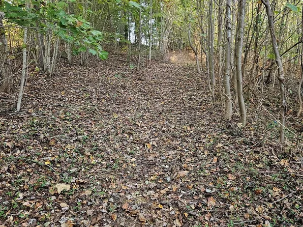 Carolyn Dr, Candler, NC 28715