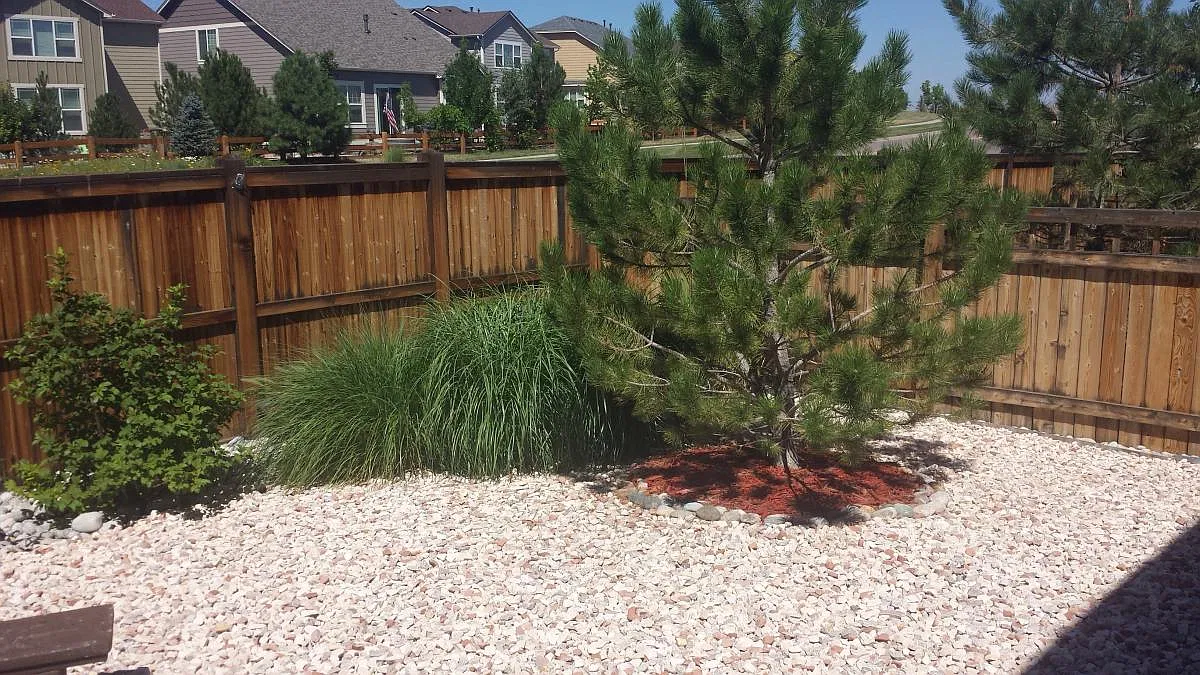 3 bed, 1831 sqft, $3,000 — Photo 2
